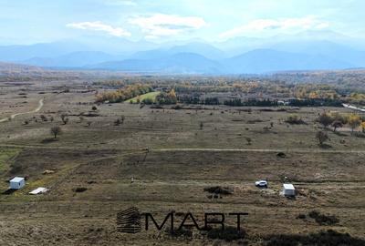 Teren 1000 mp, curent trifazic si fantana  Valea Avrigului - 2