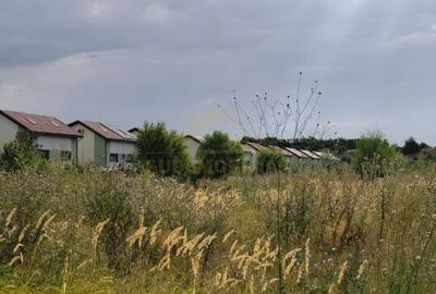 Teren Construcții intravilan de 25329 mp, în Central