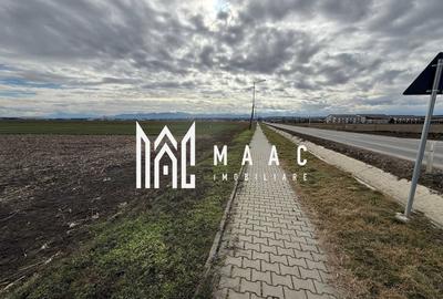Teren intravilan | 9600 mp | Șură Mică | Utilități | Drum Asfaltat - 3