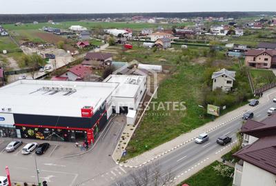 Teren vanzare in Ghermanesti Snagov Penny - 1