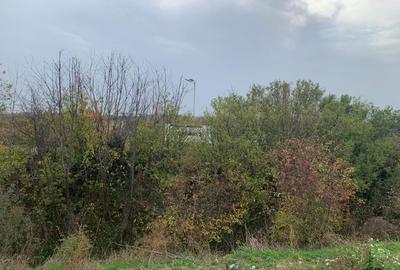 Teren Sabareni linga padure 10 minute pina in Bucuresti - 7