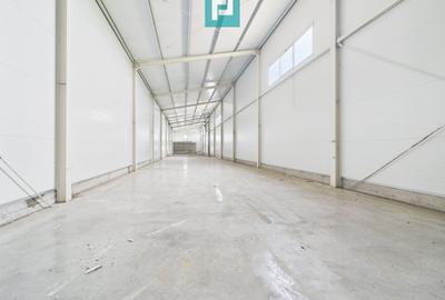 Hală nouă 563mp în zona industrială Sânandrei - 4
