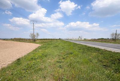 Teren intravilan de vanzare in Nojorid, acces direct la E67 , zona industriala - 1