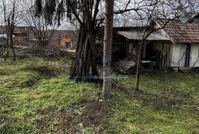 Casa individuala și în stare buna de vânzare în Ohaba - 6