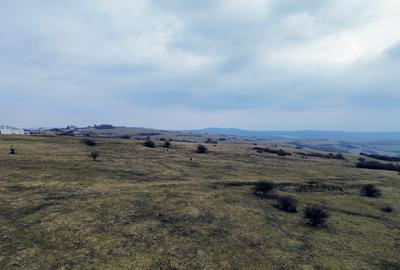 Teren agricol extravilan de vânzare – 67.500 mp – Dealul Daii, Sibiu - 5