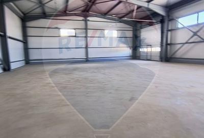 Hale noi de inchiriat Domnesti - putere instalata pana la 600kva - 3