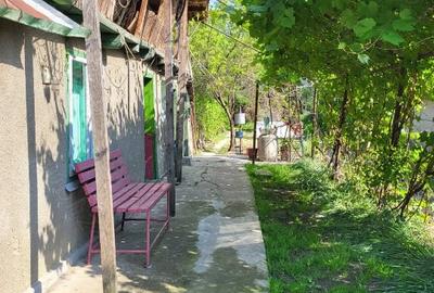 Teren si casa batraneasca de vanzare - 2