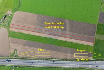 Teren intravilan, 5000 mp, Stupini, str Pomiculturii - 4
