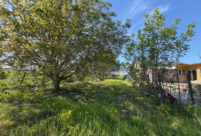 Teren Construcții intravilan de 1090 mp, în Câmpineanca