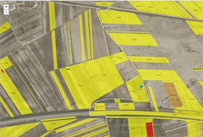 Vanzare teren pt constructii 13.500 mp Bolintin-Deal, km 24 Autostrada A1 - 4