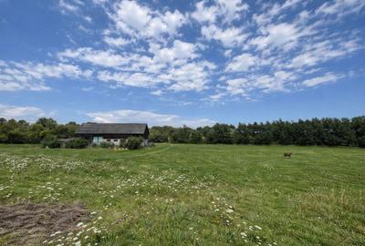 Teren agricol extravilan de 3600 mp, în Horodnic de Sus