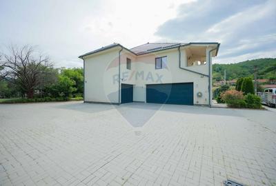 Vilă premium de vânzare – Eșelnița, Clisura Dunării - 27