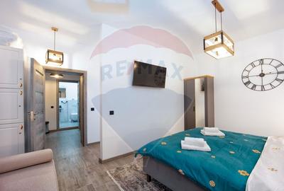 Apartament 1 camera | Poarta Schei nr. 1 | Centru Istoric Brasov - 7