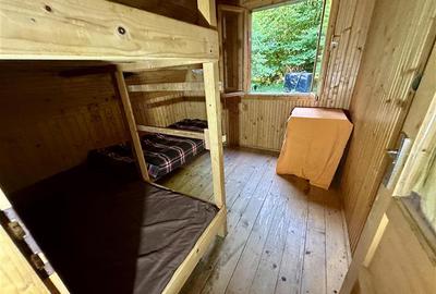 Casa/ Cabana+2.000 mp teren in miracolul naturii autentice,Bucin(Praid), Harghit - 42