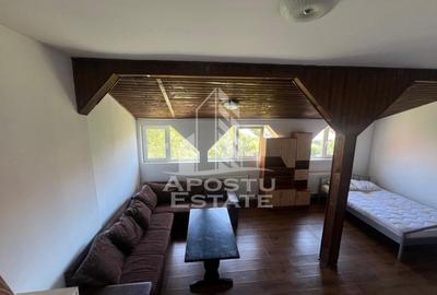 Apartament 2 camere de inchiriat in Mehala, Timisoara - 6