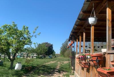 Fermă de vânzare în com. Deleni - DN3 - 10.680 mp - 84 m deschidere - 1