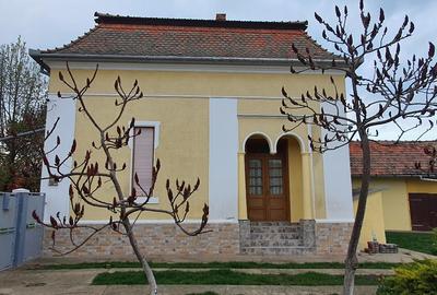 Vând casă comuna Comloșu Mare, jud. Timiș - 4