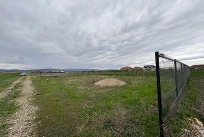 Teren de vânzare în Golești – 3 loturi a câte 530 mp - 5