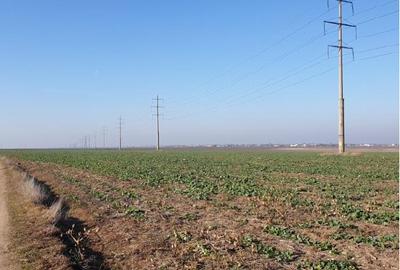 Teren intravilan 20.000 mp zona ANL Braila - 3