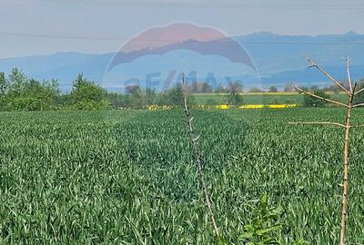 Teren 40,000mp irigabil Codlea / DJ 112A - 1