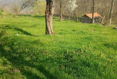 Vând terenuri,intravilane și extravilane !!! - 2