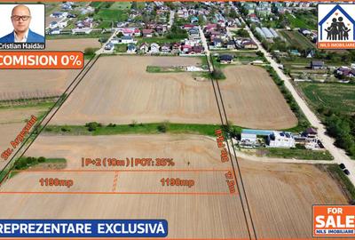 Teren intravilan construibil | 2x1190mp | 1 Decembrie - Ilfov - 1