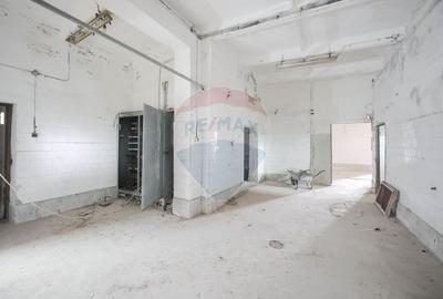 Teren 7500mp și construcții de vânzare, Tilecuș - 14
