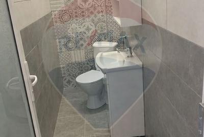 Spațiu de birouri central - Vilă 323 mp - Ideal sediu firmă / clinica - 9