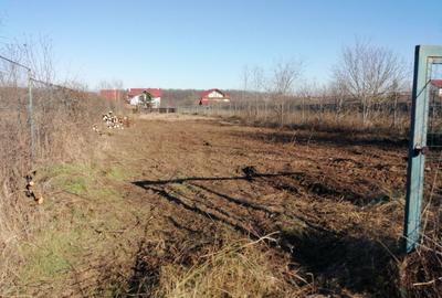 Teren constructie casa -1000 mp - Snagov, Strada Tudor Vladimirescu - 5