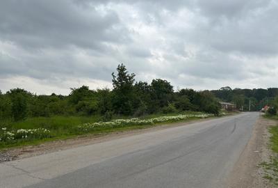 Terenul dintre 2 lacuri – 1000 mp în Mogoșoaia, la 5 minute de pădure - 12