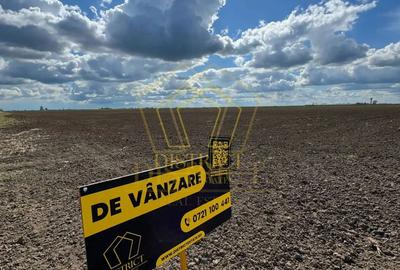 Teren extravilan - constructii industriale 5ha | Sag | Frigoglass - 2