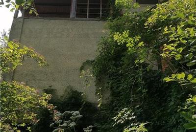 Teren 11230 m.p.  + Conac - necesita renovare - 6