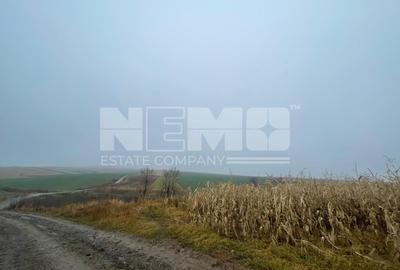 TEREN EXTRAVILAN | DOUA PARCELE 2.84 HA| DARMANESTI - 15
