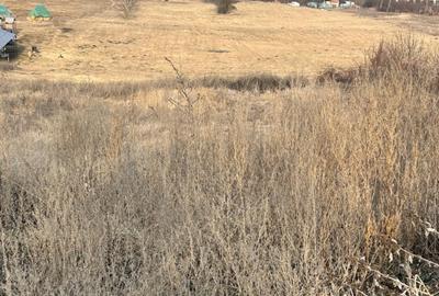 Teren 9.555mp front 28ml constructie ansamblu case Iris - 2