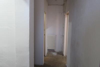 Inchiriere Spatiu Comercial Teiul Doamnei - Stradal - 105 mp - 42