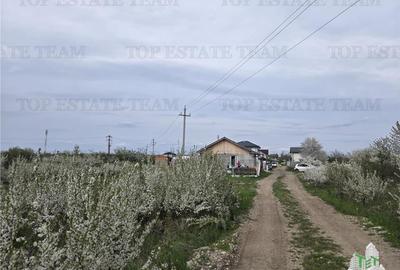 TEREN INTRAVILAN 420 mp la 20 minute  de Bucuresti - 6