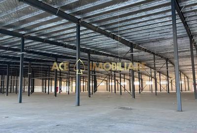 Spatiu Comercial | Voluntari | Hala | 450 Mp | Stradal - 1