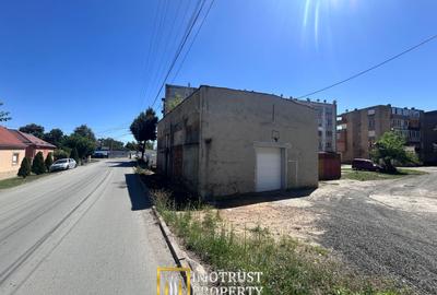 Hală Industrială de inchiriat – Lipova, Județul Arad - 6