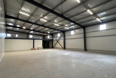 Inchiriere hala 500mp iesire A2, str Drumul intre Tarlale, prima inchiriere - 2
