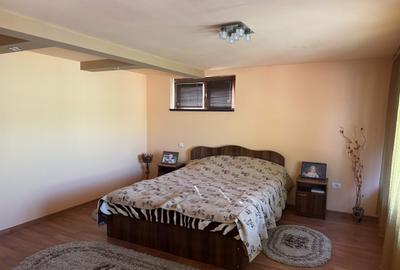 Cladire functiune mixta - Hala productie + locuinta, 400 mp. teren, zona Tunari - 17