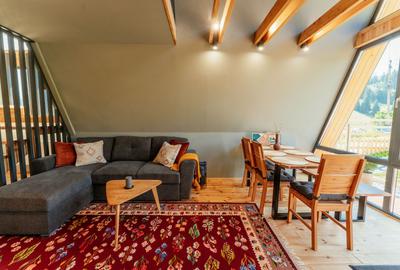 Afacere la cheie in Vatra Dornei, 2 cabane tip A Frame! - 22