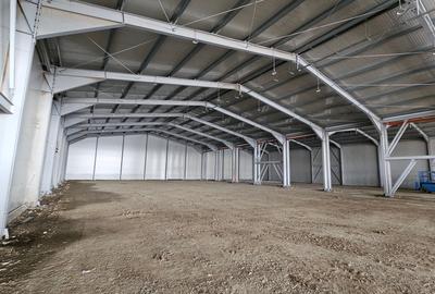 Inchiriere HALA noua 850 mp + 60 mp birouri | Sos Pipera Tunari | DJ 200B - 6