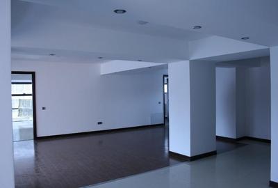 Birouri 120 mp – Zona Unirii – mentenanță inclusă - 4