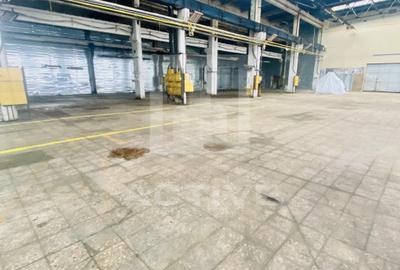 Hala   Depozitare Clujana - 1