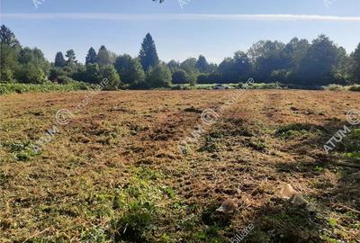 Teren intravilan de vanzare 1856 mp in Avrig zona Valea Avrigului - 2