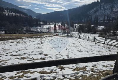 Teren 3,486mp Iacobeni / Drumul Dandoaia - 1