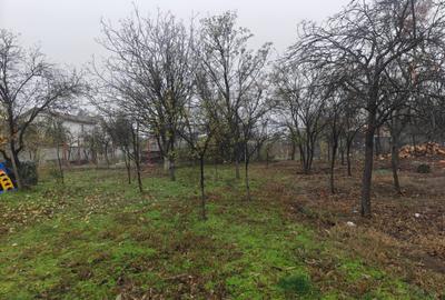 Teren intravilan 12.511 mp | Potoceni – Mărăcineni | Ideal pentru dezvoltare rez - 3