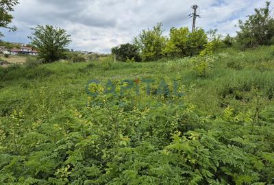 Teren extravilan 11 600mp, Dezmir - 2