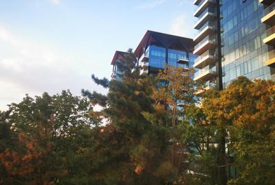 Dorobanti | Floreasca | 3 camera de inchiriat | Pet Friendly - 11