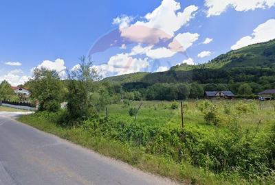 Teren 1600 mp cu proiect & autorizație, Chalet Duplex Râșnov Glăjerie - 3